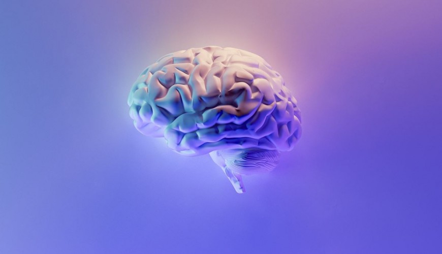 Telerehabilitation for people with mTBI: A co-design approach